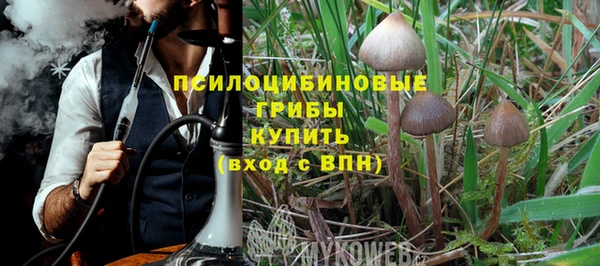 ПСИЛОЦИБИНОВЫЕ ГРИБЫ Алексеевка